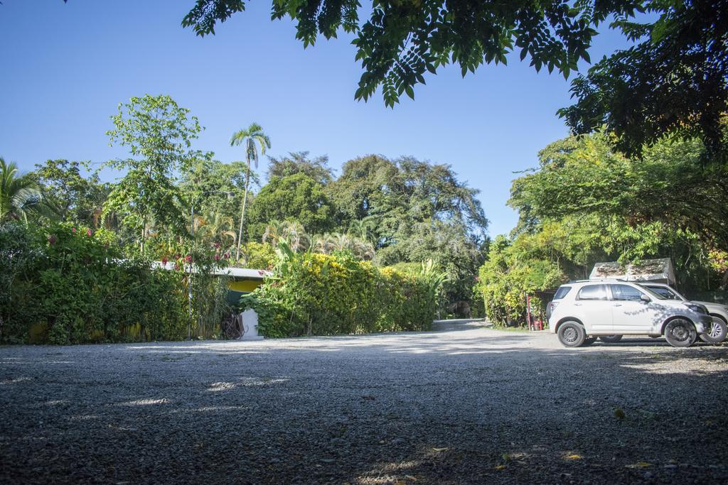 Atlantida Lodge Cahuita Bagian luar foto