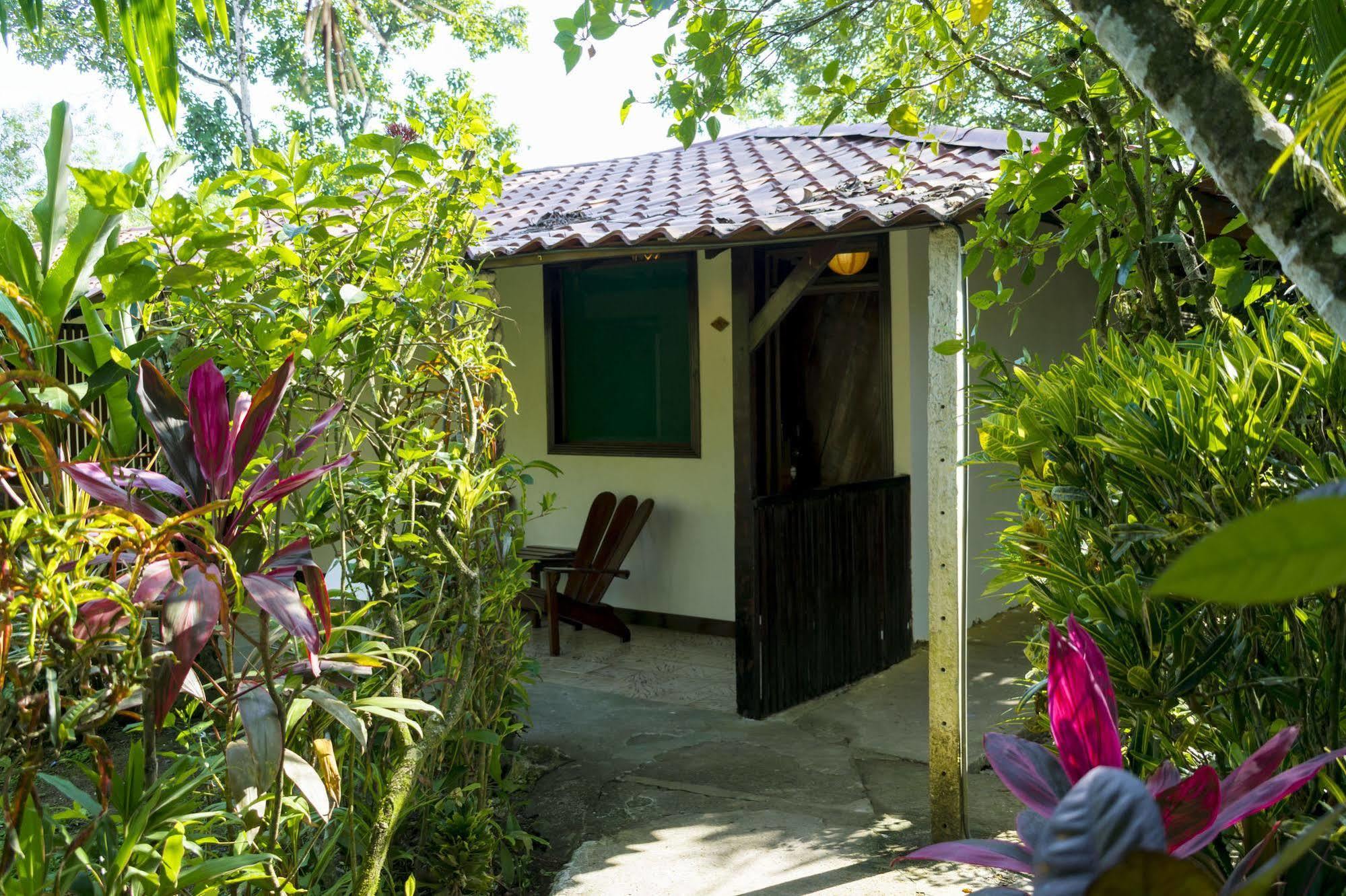 Atlantida Lodge Cahuita Bagian luar foto